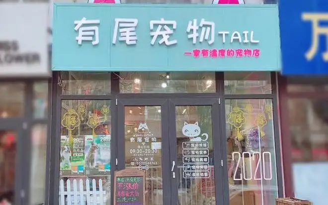 有尾宠物TAIL