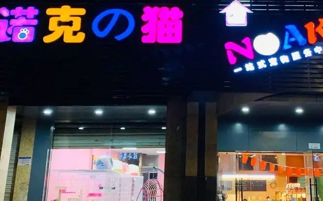 诺克宠物（广信区信美路店）