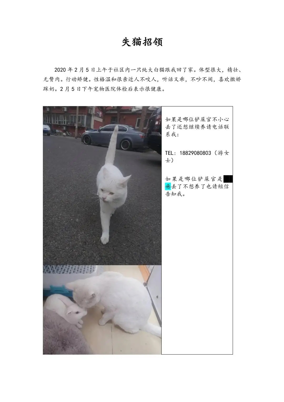 2月5日北京市海淀区皂君庙社区捡到流浪雄性猫,宠物猫,猫咪【招领启示/启事】