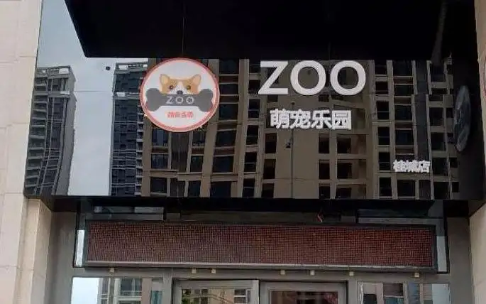 ZOO萌宠乐园