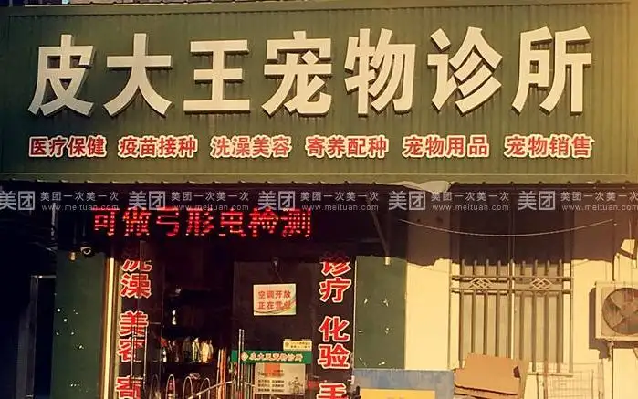 皮大王宠物诊所（如东店）