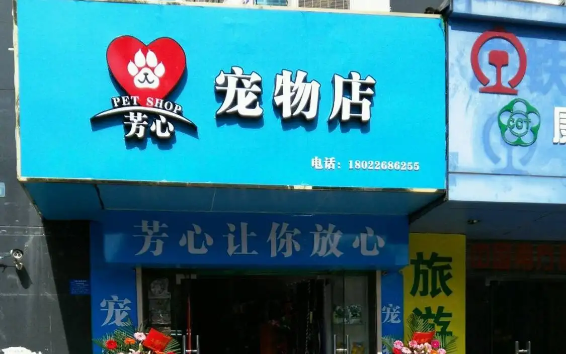 芳心宠物店