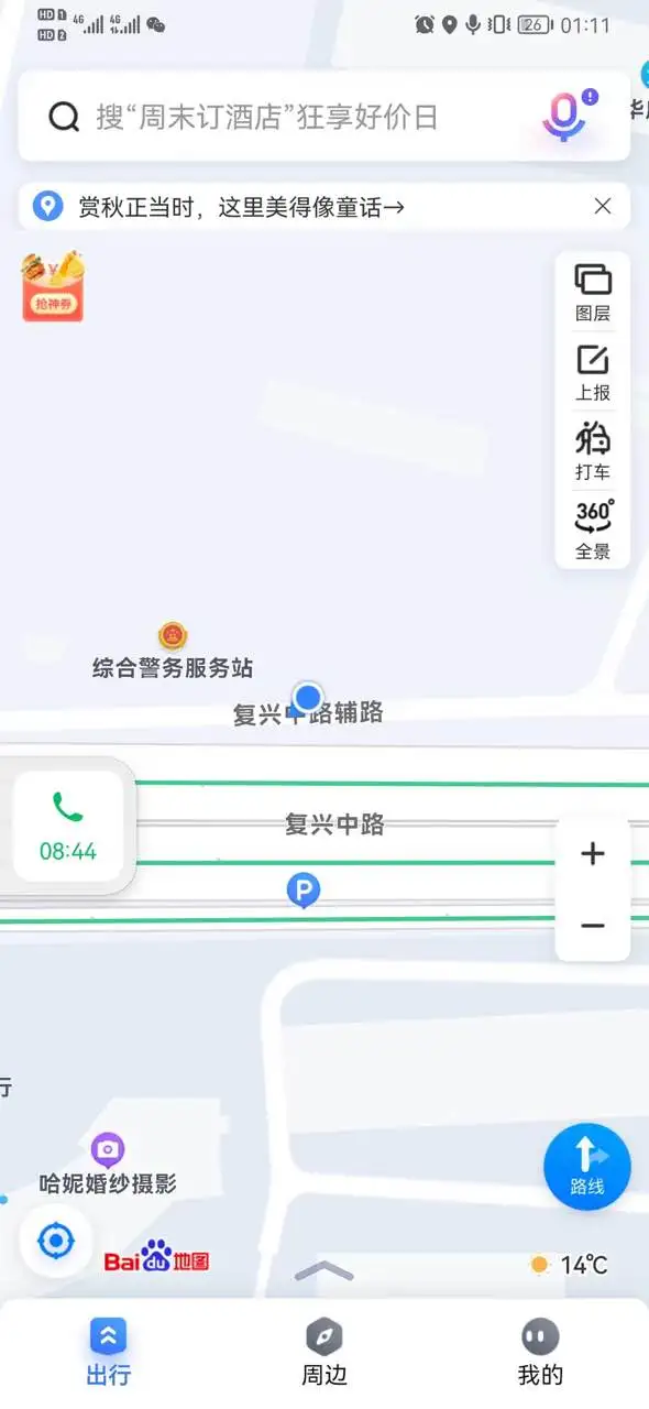 10月21日保定市莲池区复兴中路世纪华庭小区附近走失狸花猫【寻狸花猫启示/启事】