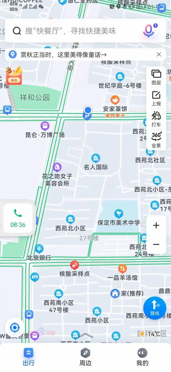 10月21日保定市莲池区复兴中路世纪华庭小区附近走失狸花猫【寻狸花猫启示/启事】