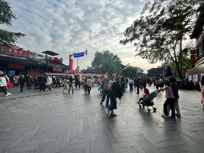 10月28日南京市秦淮区夫子庙售票处路对面路口大树下发现流浪猫,宠物猫,猫咪【流浪猫线索】