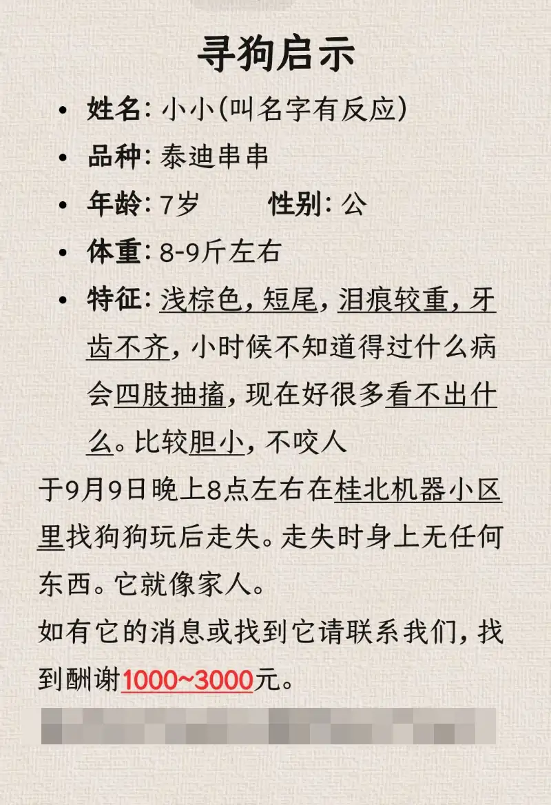 9月9日桂林市秀峰区甲山街道巾山路磨床厂走失泰迪,贵宾,泰迪熊【寻泰迪/贵宾启示/启事】