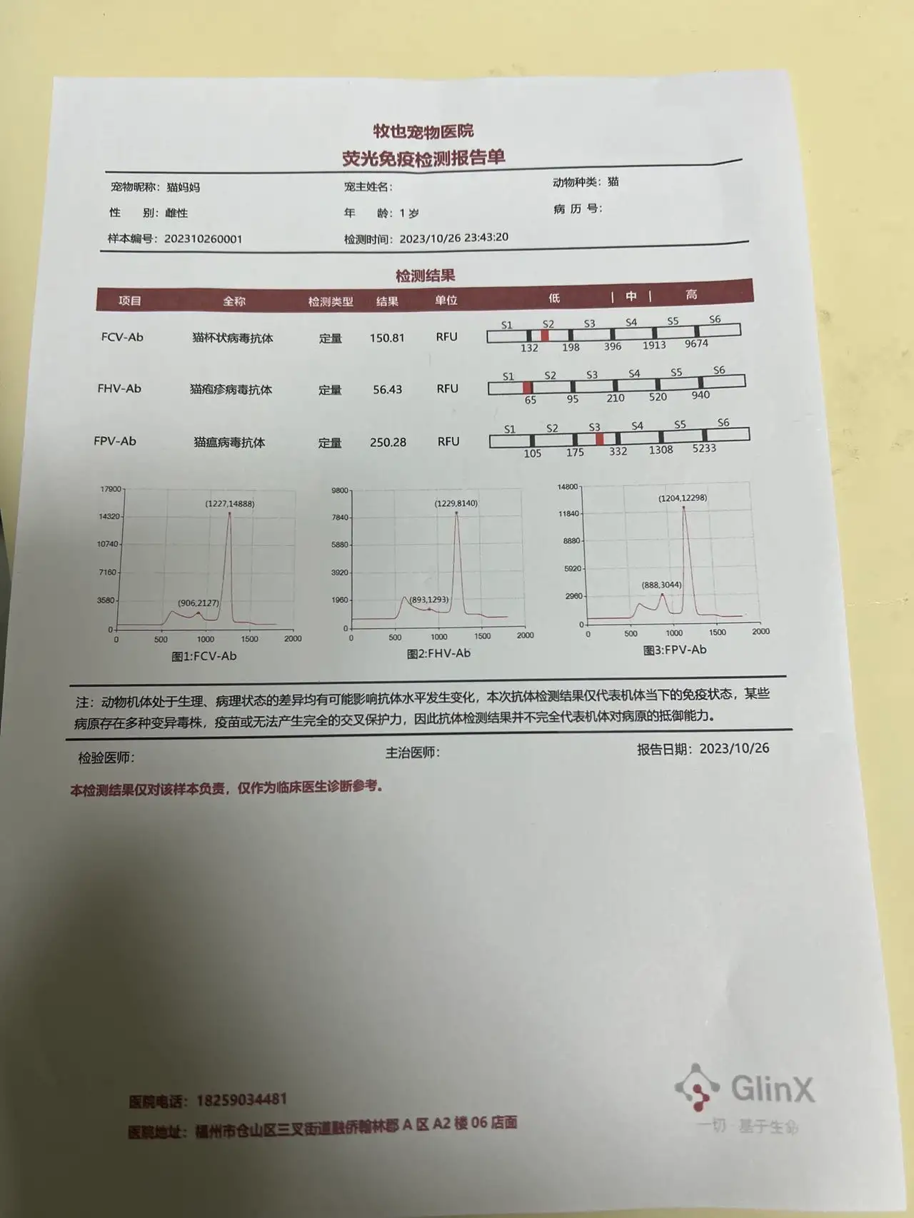 10月30日福州市仓山区全国领养英短蓝猫,英国蓝色短毛猫【领养启示/启事】