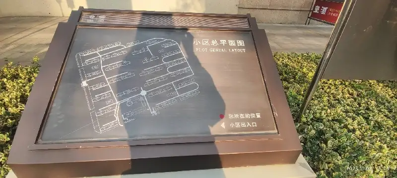 11月8日南京市栖霞区燕子矶街道电建洺悦府二期22栋23栋附近发现流浪猫,宠物猫,猫咪【流浪猫线索】