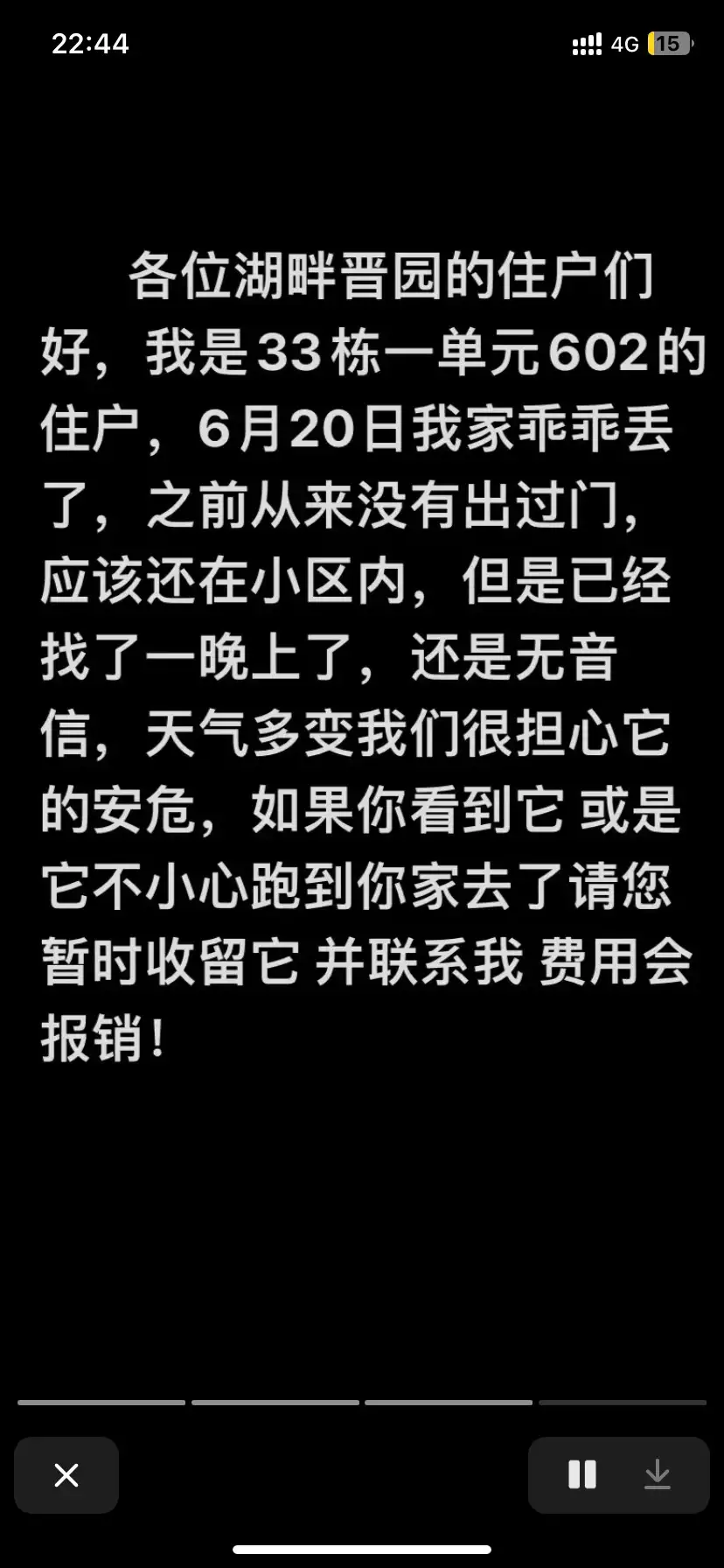 6月20日昆明市晋宁区湖畔晋园走失英短蓝猫,英国蓝色短毛猫【寻英短蓝猫启示/启事】