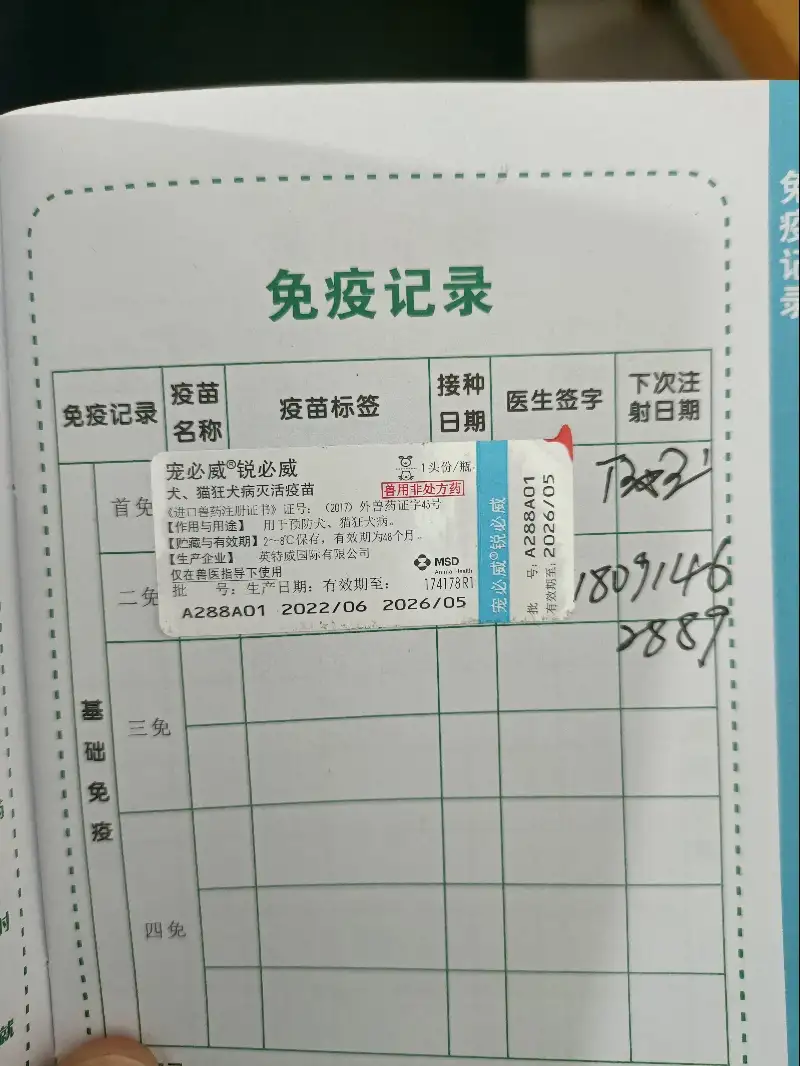 6月30日商洛市镇安县午裕沟路口领养猫,宠物猫,猫咪【领养启示/启事】