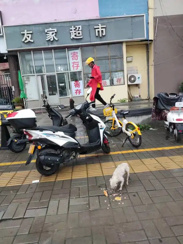 7月12日济南市天桥区明湖北路火车东站广场内如家酒店南侧友家超市(明湖北路)发现流浪狗,宠物狗【流浪狗线索】