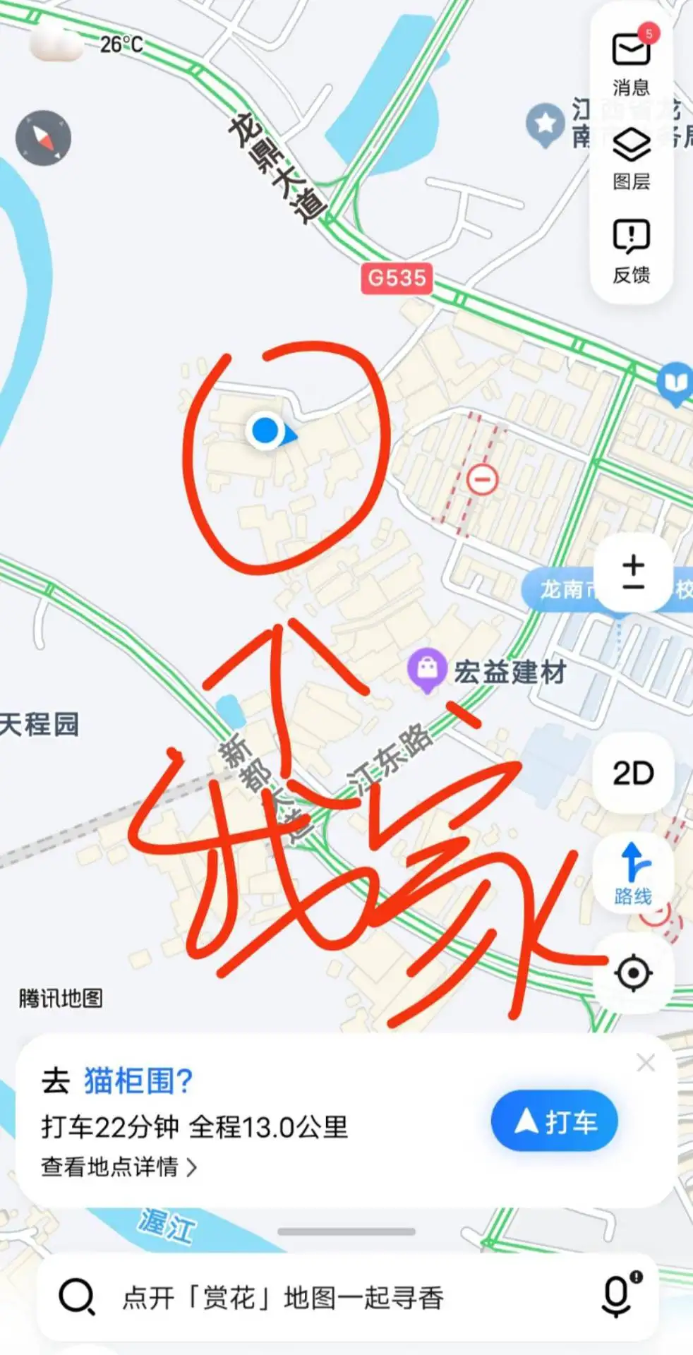 8月26日赣州市龙南县新都（不好意思不知道我家具体地址）捡到流浪猫,宠物猫,猫咪【猫招领启示/启事】