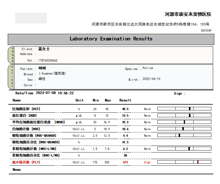 7月29日河源市源城区河源领养狸花猫【领养启示/启事】