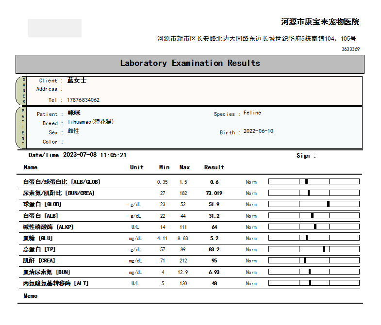 7月29日河源市源城区河源领养狸花猫【领养启示/启事】