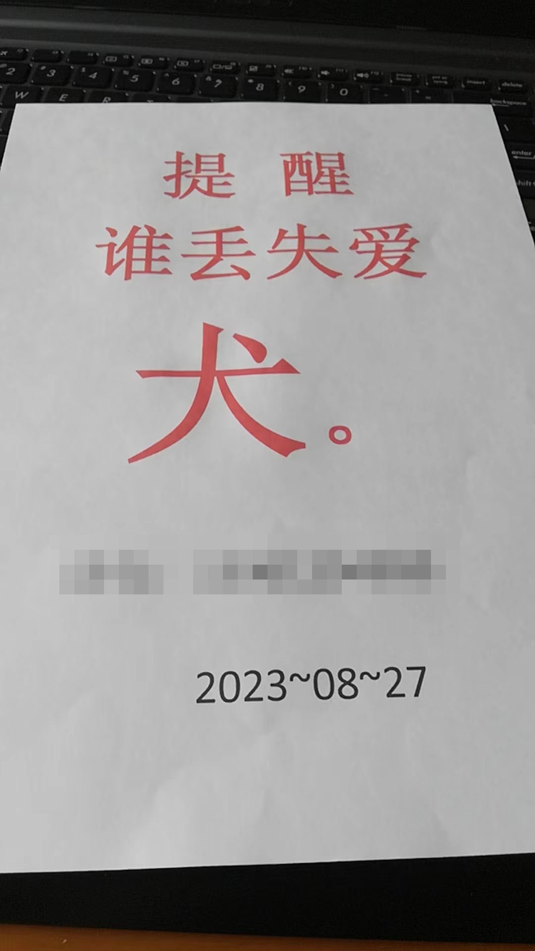 8月27日常州市新北区燕兴新村26乙601捡到流浪狗,宠物狗【狗招领启示/启事】