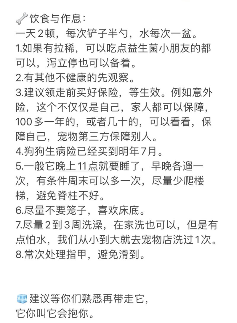 9月12日深圳市宝安区兴东领养柯基【领养启示/启事】