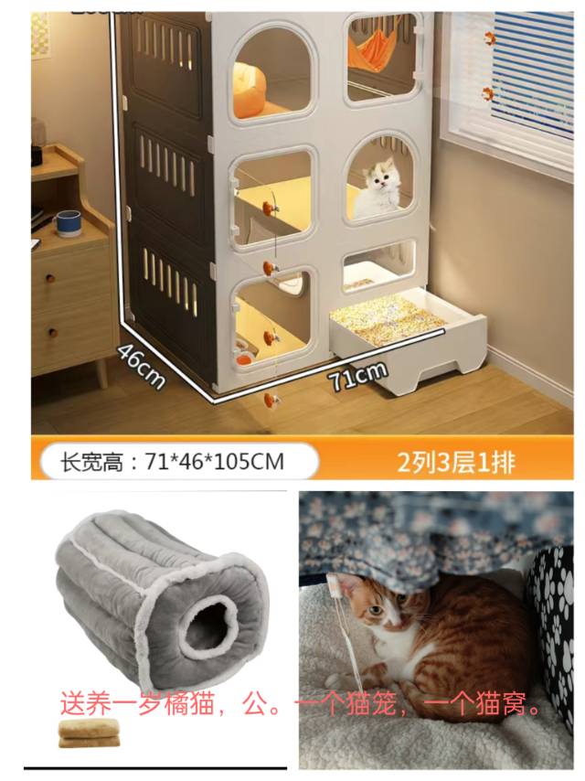 1月13日大庆市肇源县新站镇领养猫,宠物猫,猫咪【领养启示/启事】