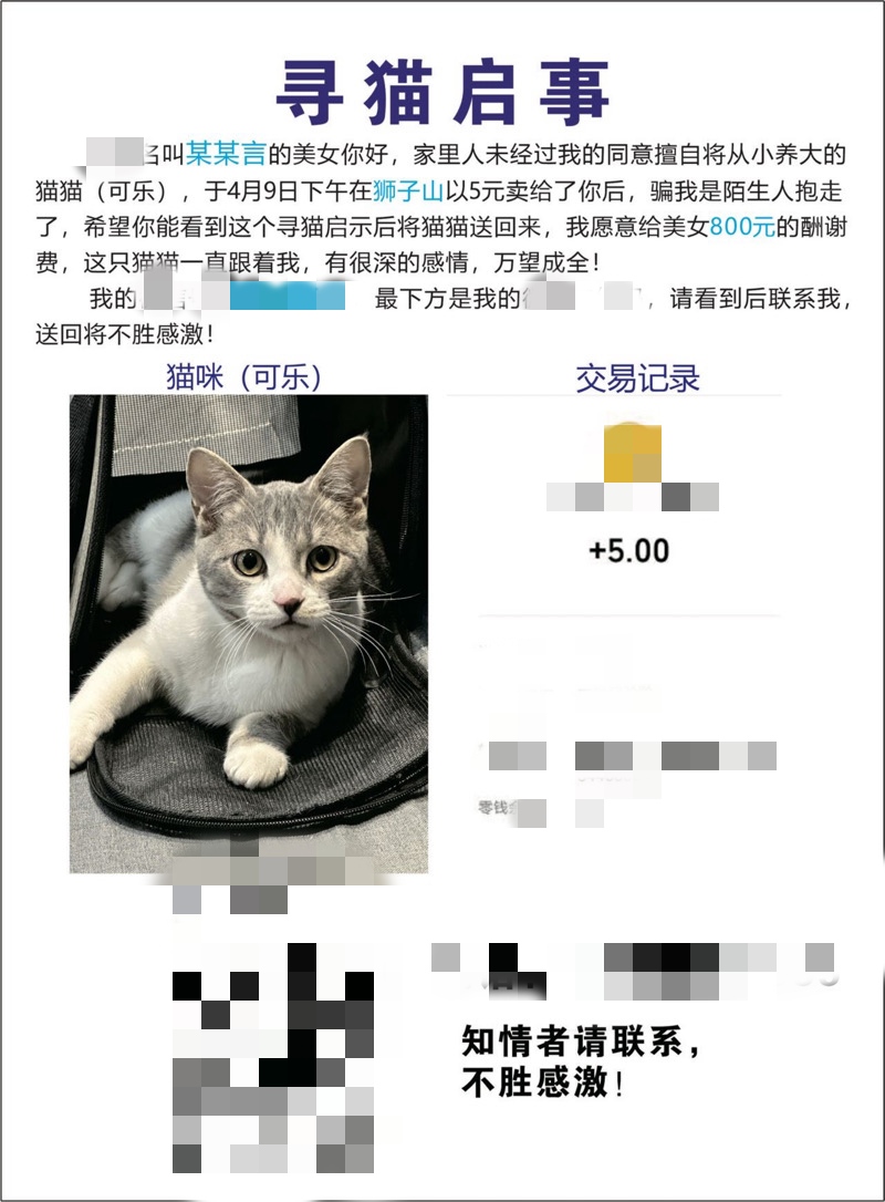 4月13日内江市威远县狮子山公园走失猫,宠物猫,猫咪【寻猫启示/启事】