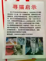 8月26日滁州市琅琊区滨湖小区32栋一单元走失雄性猫,宠物猫,猫咪【寻猫启示/启事】