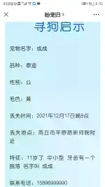 12月17日商丘市梁园区平原路新师院 盐业局附近走失泰迪,贵宾,泰迪熊【寻泰迪/贵宾启示/启事】