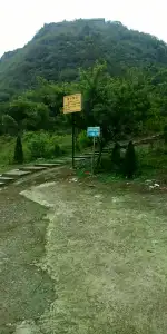 4月10日清远市阳山县威灵殿旅游区发现流浪狗,宠物狗【流浪狗线索】