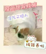 10月19日盐城市亭湖区市二院附近领养田园猫,家猫【领养启示/启事】