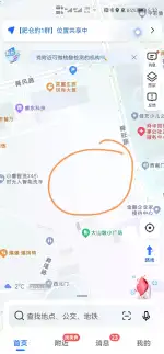 2月16日济南市历下区舜风路700号中海天悦府西侧小公园发现流浪狸花猫【流浪狸花猫线索】