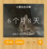 10月19日平顶山市新华区白龟湖领养猫,宠物猫,猫咪【领养启示/启事】