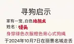 10月7日毕节市金沙县丽景名城走失比熊【寻比熊启示/启事】