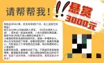 11月23日成都市成华区双建路8号成都·东方明珠花园走失泰迪,贵宾,泰迪熊【寻泰迪/贵宾启示/启事】