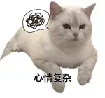 7月20日湘潭市雨湖区碧桂园大学印象领养猫,宠物猫,猫咪【领养启示/启事】