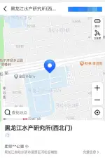 4月12日哈尔滨市道里区道里安宁浴池门前走失金毛【寻金毛启示/启事】