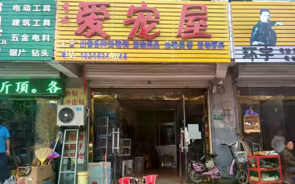 秀云爱宠屋