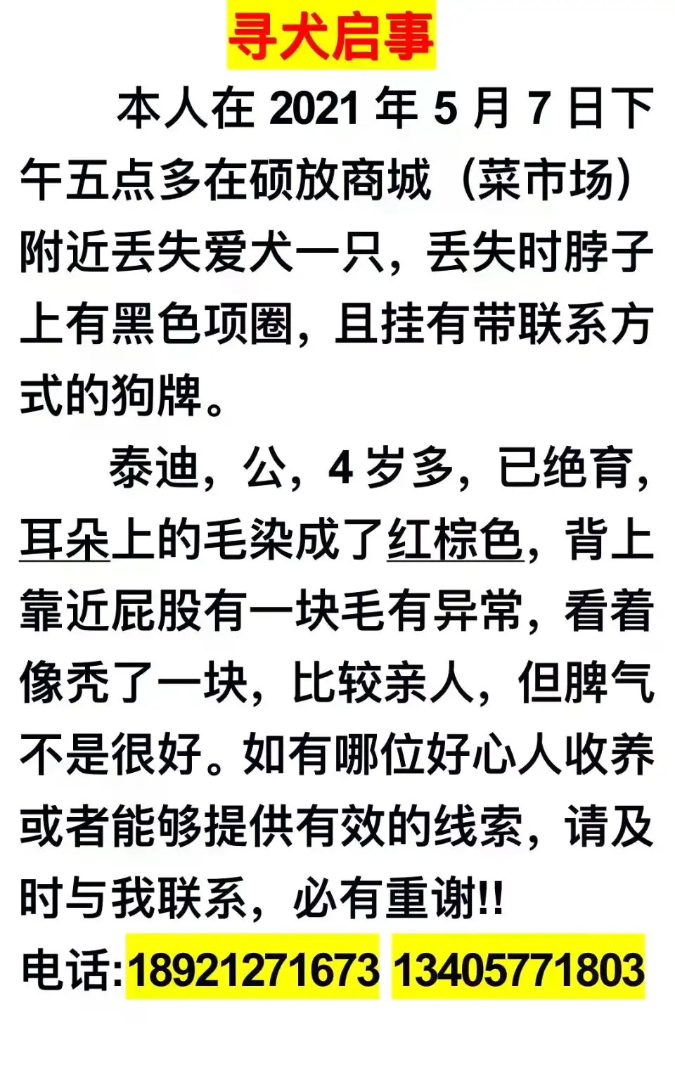 5月7日无锡市新吴区硕放街道 硕放商城走失泰迪,贵宾,泰迪熊【寻泰迪/贵宾启示/启事】