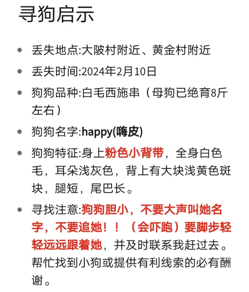 2月10日韶关市浈江区安居路浈江区曲仁园花坪居(安居路西)走失西施犬【寻西施犬启示/启事】